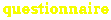 questionnaire (234 bytes)