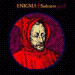 enigma3.JPG (8529 bytes)